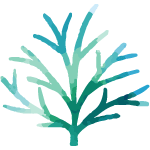 熱・咳などの風邪症状がある方へ